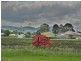 Lot 27 & L Yangan-Killarney Road, Tannymorel QLD 4372