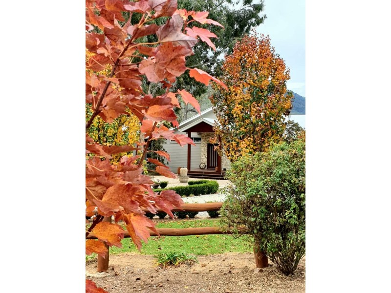 737 Top Swanfels Road, Swanfels QLD 4371