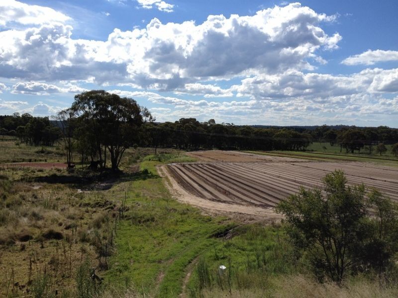 813 DONNELLYS CASTLE ROAD, Stanthorpe QLD 4380