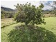 146 Rettke Road, Swanfels QLD 4371