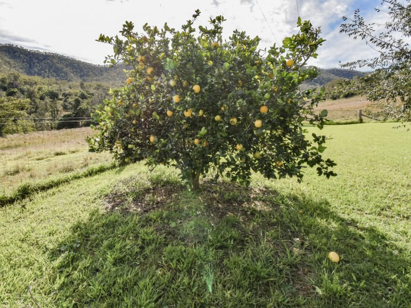 146 Rettke Road, Swanfels QLD 4371