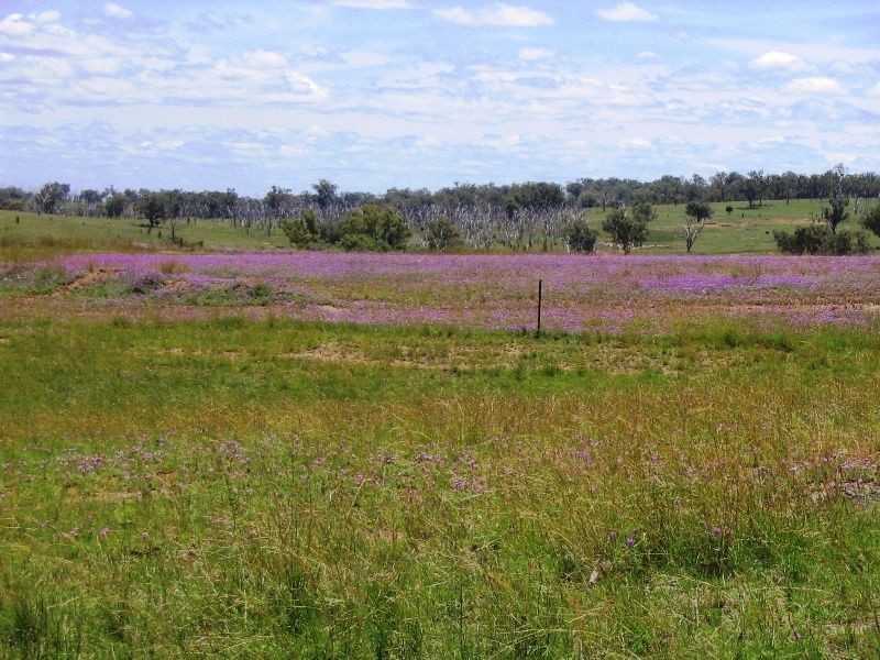Warwick QLD 4370