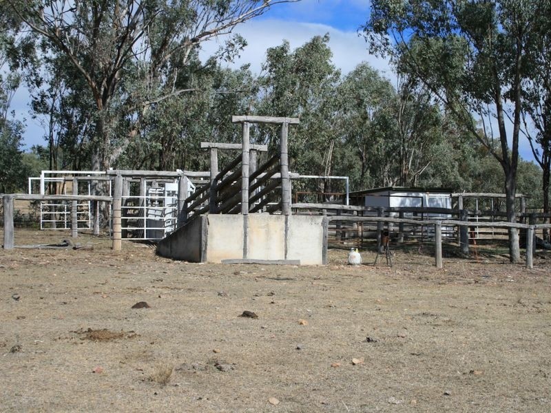 Warwick QLD 4370
