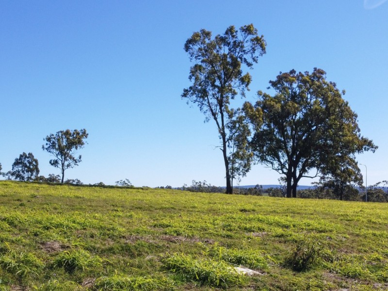 Lot 8 Jacob drive, Rosenthal Heights QLD 4370