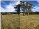10 HOMESTEAD ROAD, Warwick QLD 4370