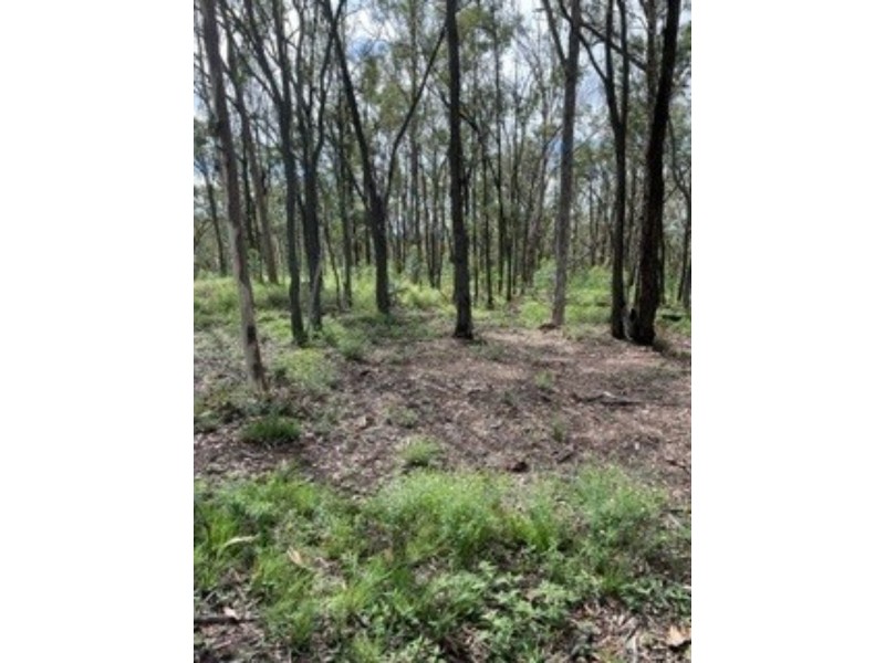 Lot  137 Old Thanes Creek Road, Thanes Creek QLD 4370