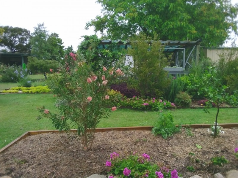 7 Redgwell Street, Warwick QLD 4370