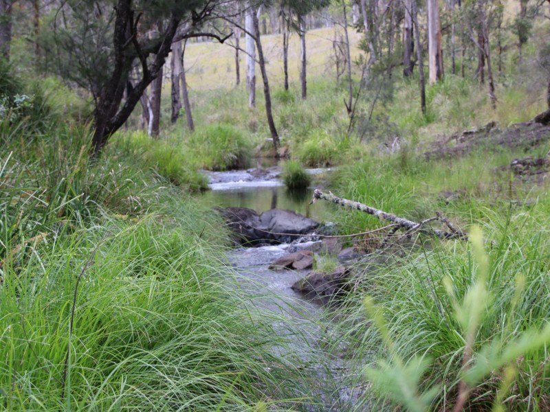 Lot 5 Cunningham Highway, Tregony QLD 4370