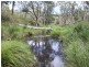 Lot 5 Cunningham Highway, Tregony QLD 4370