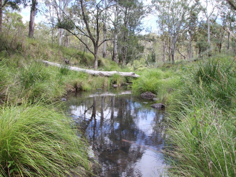 Lot 5 Cunningham Highway, Tregony QLD 4370