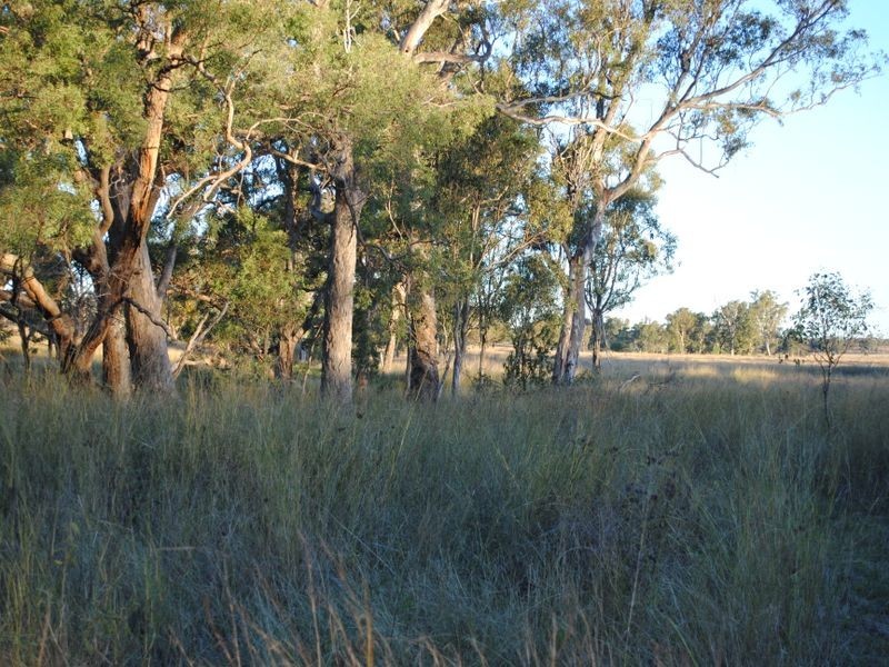 9 x Titles at Warrabah Road, Warwick QLD 4370