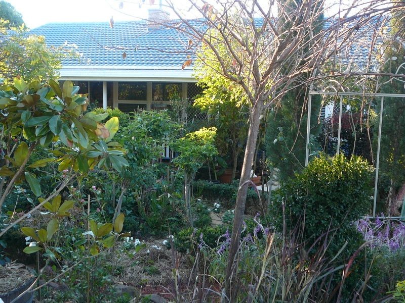 111 Locke Street, Warwick QLD 4370