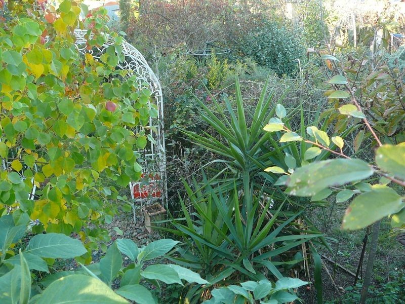 111 Locke Street, Warwick QLD 4370