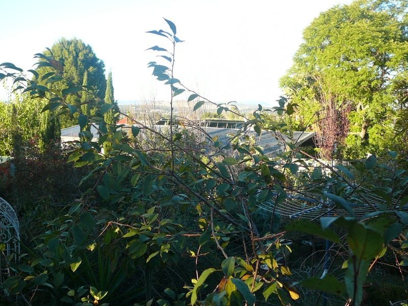 111 Locke Street, Warwick QLD 4370