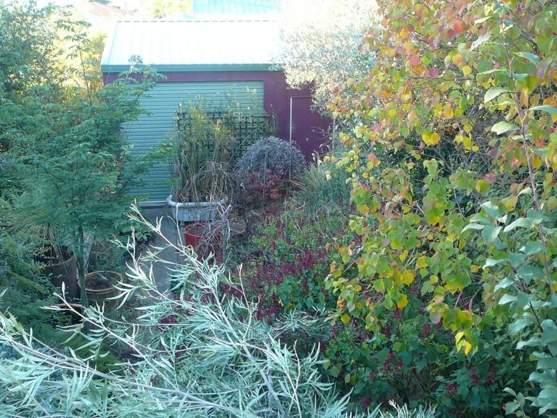 111 Locke Street, Warwick QLD 4370