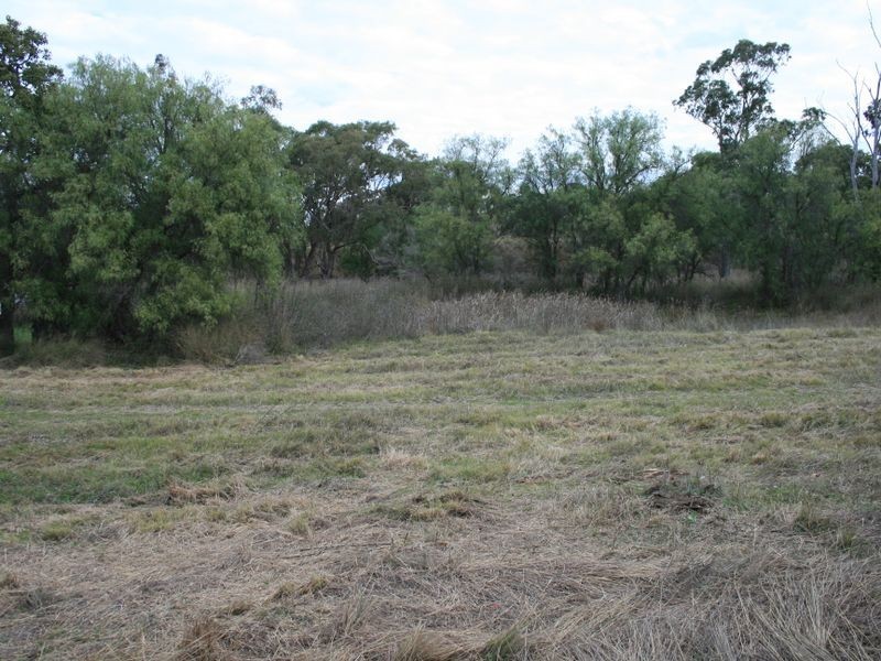 Lot 1 & 2 Thanes Creek Road Thane via, Warwick QLD 4370