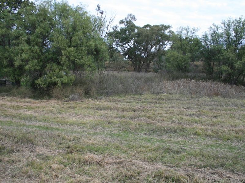 Lot 1 & 2 Thanes Creek Road Thane via, Warwick QLD 4370