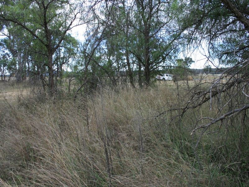 Lot 1 & 2 Thanes Creek Road Thane via, Warwick QLD 4370