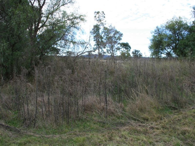 Lot 1 & 2 Thanes Creek Road Thane via, Warwick QLD 4370