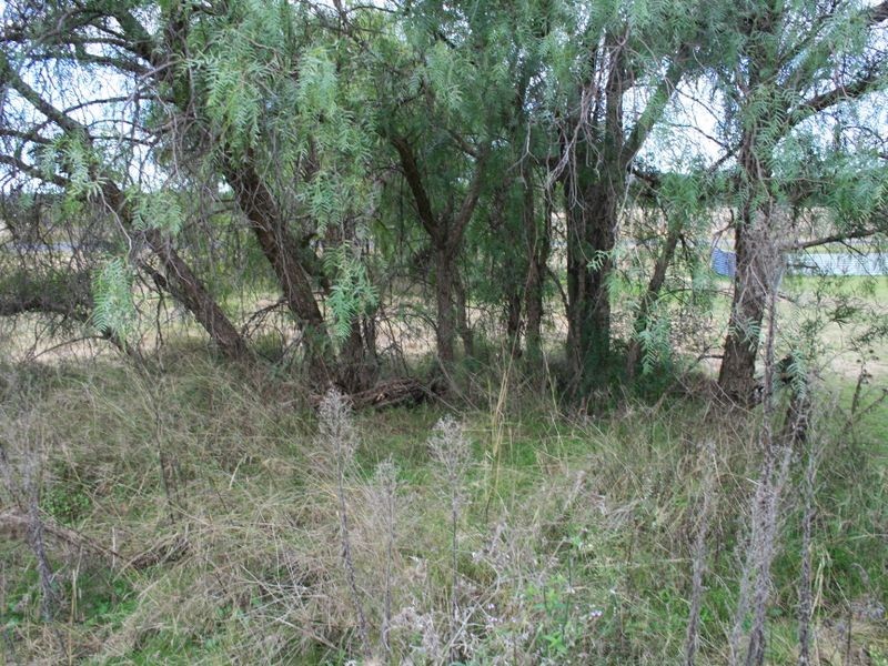 Lot 1 & 2 Thanes Creek Road Thane via, Warwick QLD 4370