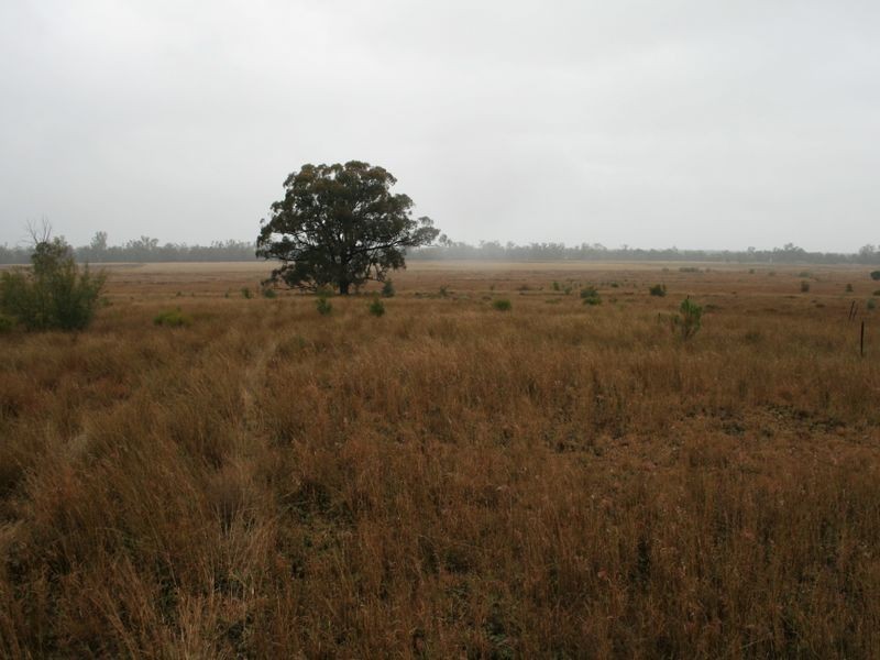 Lot 8 Dowling Road Coolmunda via, Warwick QLD 4370