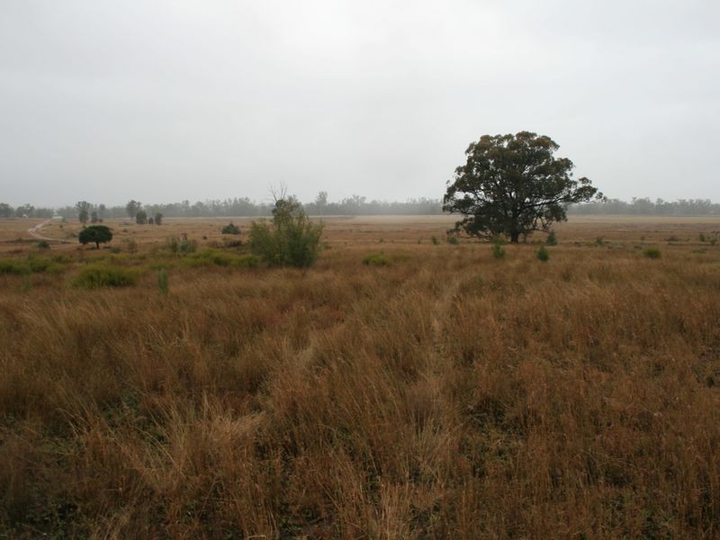 Lot 8 Dowling Road Coolmunda via, Warwick QLD 4370