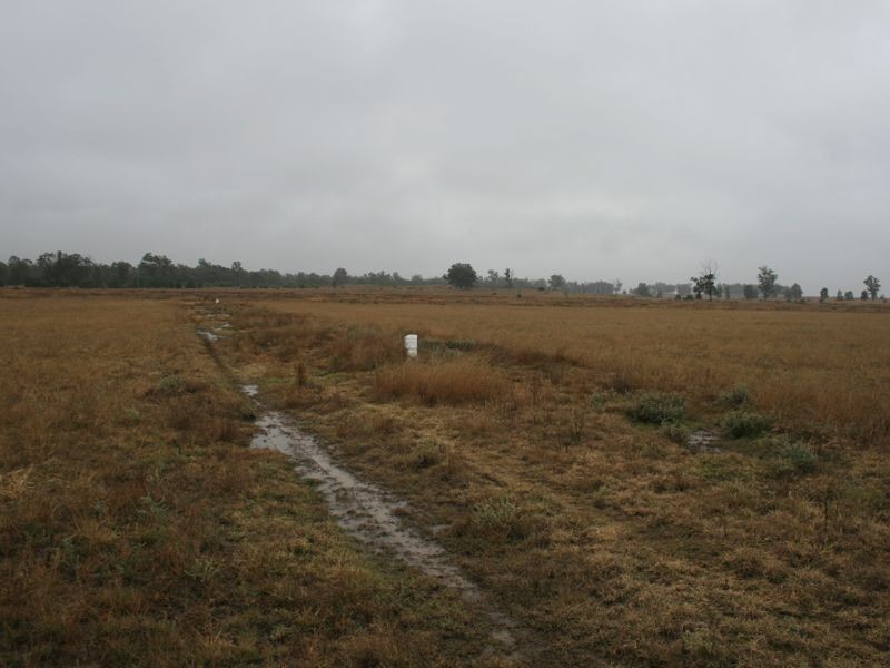 Lot 8 Dowling Road Coolmunda via, Warwick QLD 4370