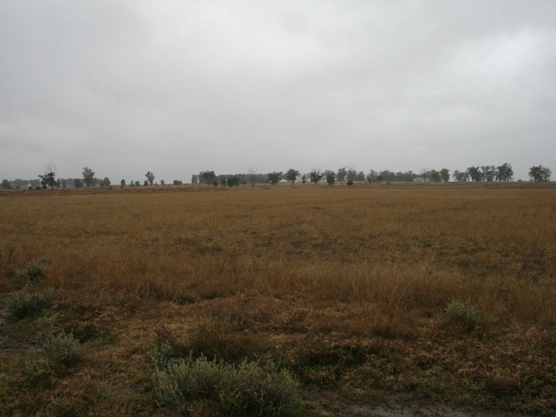 Lot 8 Dowling Road Coolmunda via, Warwick QLD 4370