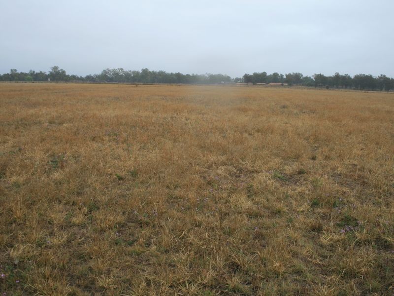 Lot 8 Dowling Road Coolmunda via, Warwick QLD 4370