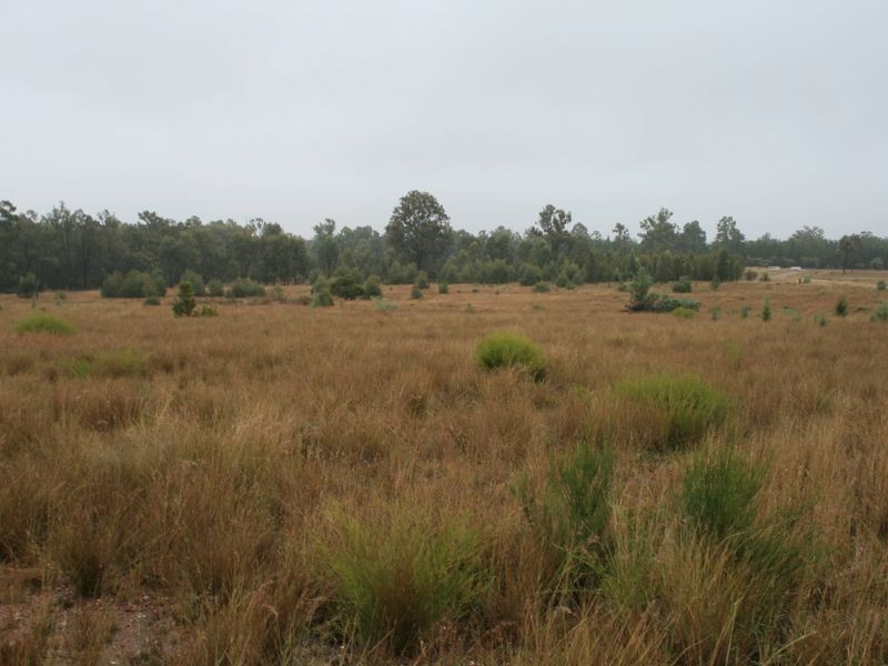 Dowling Road Coolmunda via, Inglewood QLD 4387