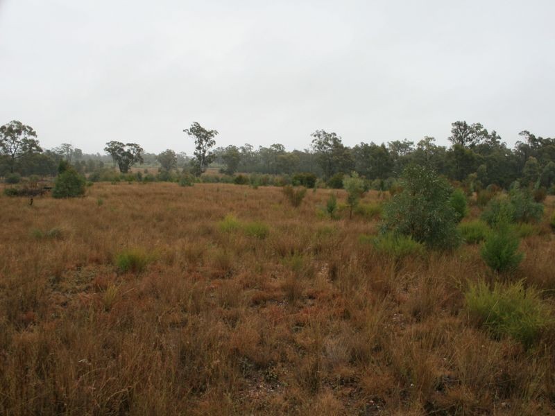 Dowling Road Coolmunda via, Inglewood QLD 4387