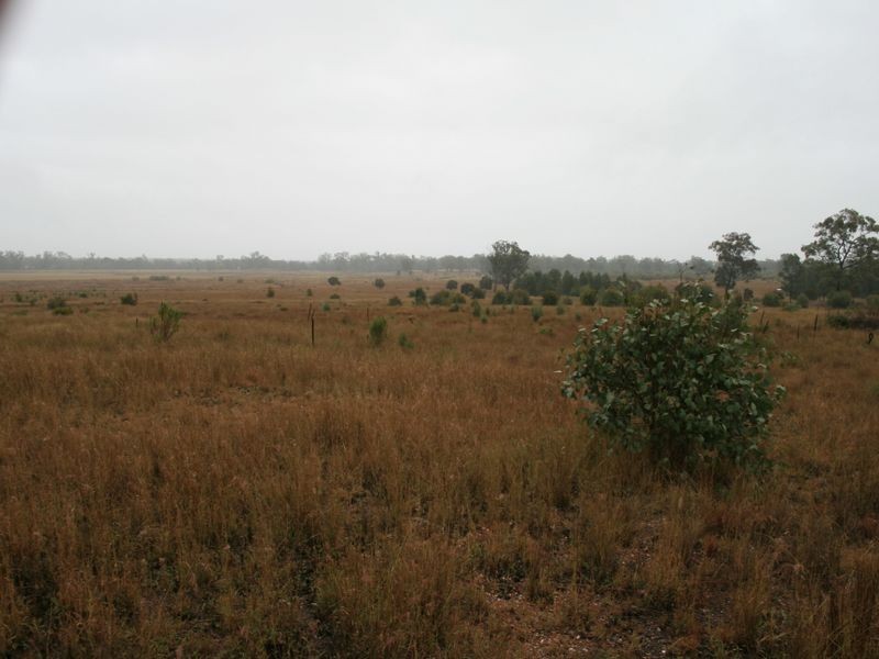 Dowling Road Coolmunda via, Inglewood QLD 4387