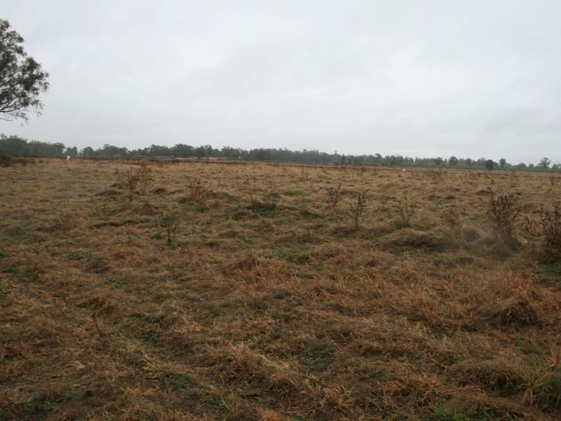 Dowling Road Coolmunda via, Inglewood QLD 4387