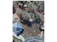 54 Flynn Drive, Warwick QLD 4370