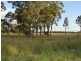 Lot 585 & Kurrajong & Glen Roads, Rosenthal Heights QLD 4370