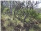 Lot 74 Dollar Bill Drive, Swanfels QLD 4371