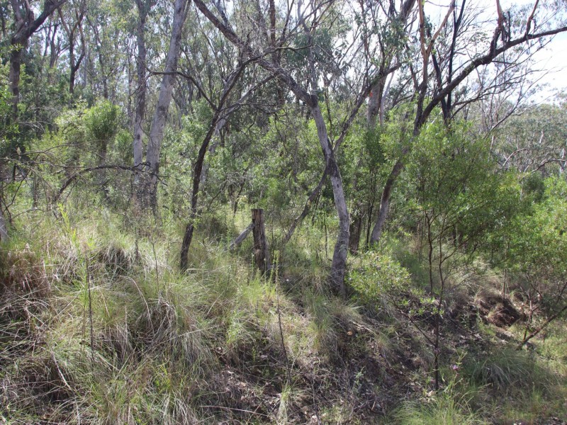 Lot 74 Dollar Bill Drive, Swanfels QLD 4371