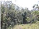 Lot 74 Dollar Bill Drive, Swanfels QLD 4371
