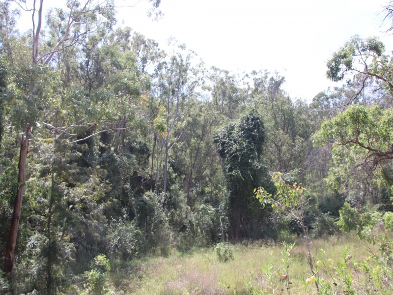 Lot 74 Dollar Bill Drive, Swanfels QLD 4371