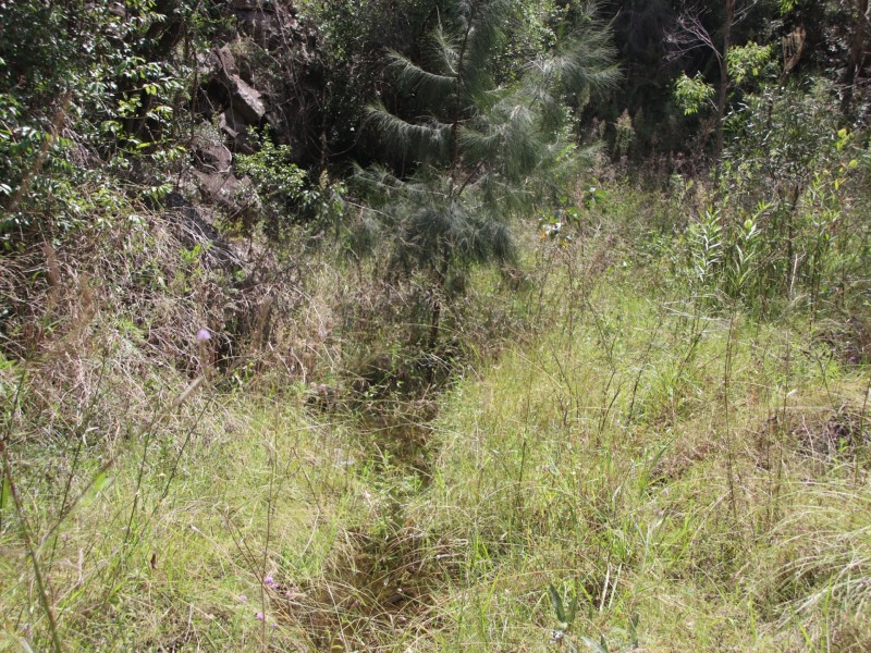 Lot 74 Dollar Bill Drive, Swanfels QLD 4371