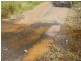 Lot 74 Dollar Bill Drive, Swanfels QLD 4371