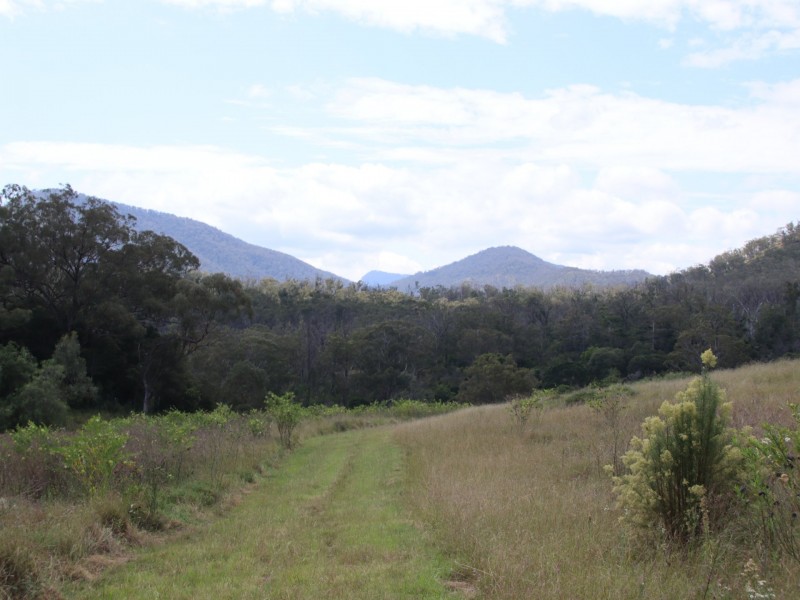 Lot 4 Dollar Bill Drive, Yangan QLD 4371