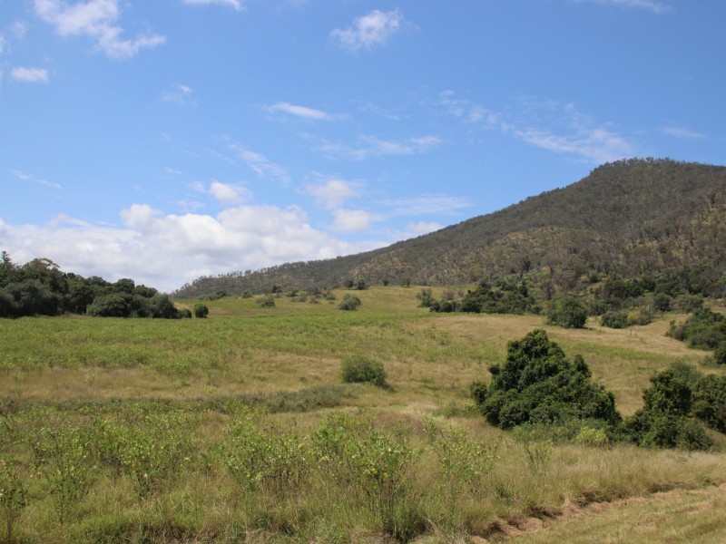 Lot 4 Dollar Bill Drive, Yangan QLD 4371