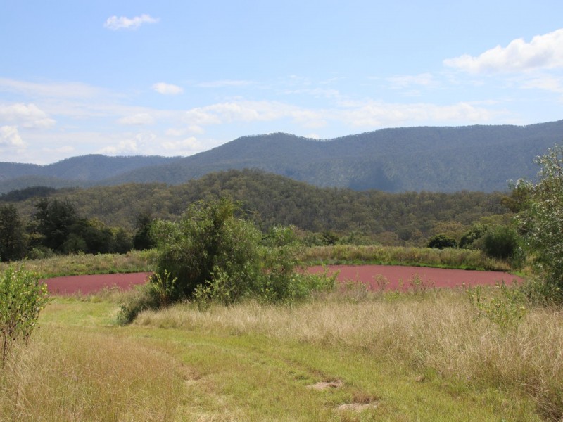 Lot 4 Dollar Bill Drive, Yangan QLD 4371