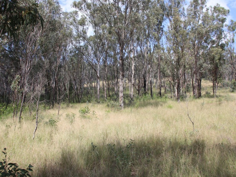 Lot 4 Dollar Bill Drive, Yangan QLD 4371