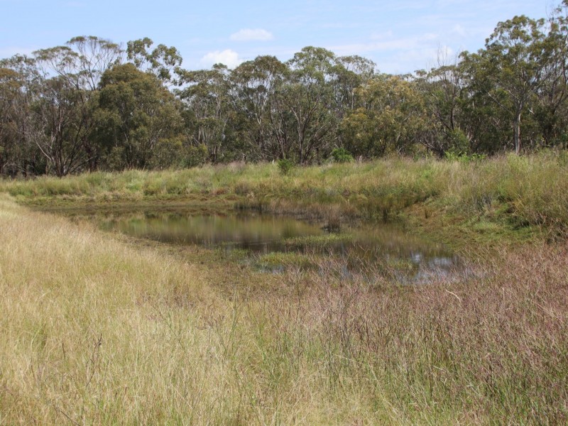Lot 4 Dollar Bill Drive, Yangan QLD 4371