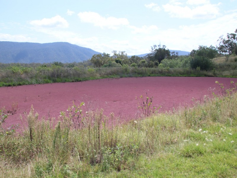 Lot 4 Dollar Bill Drive, Yangan QLD 4371