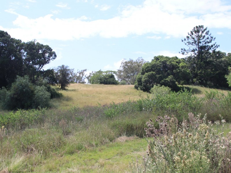 Lot 4 Dollar Bill Drive, Yangan QLD 4371