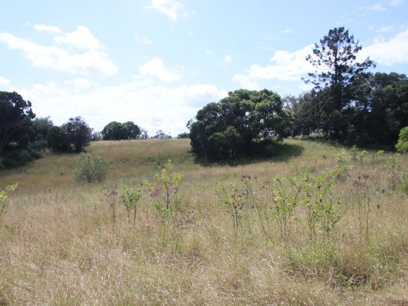 Lot 4 Dollar Bill Drive, Yangan QLD 4371