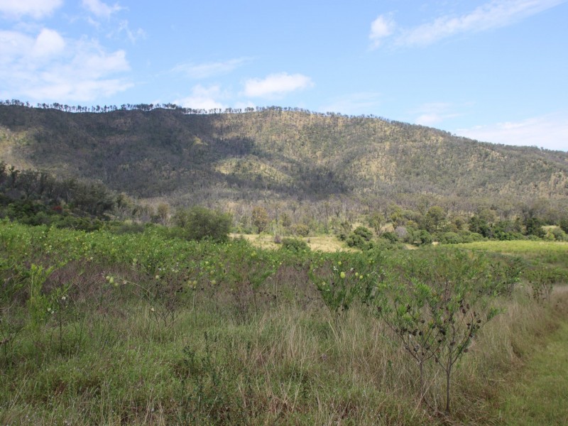 Lot 4 Dollar Bill Drive, Yangan QLD 4371